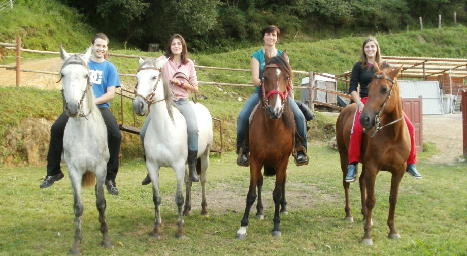 Los Caballucos